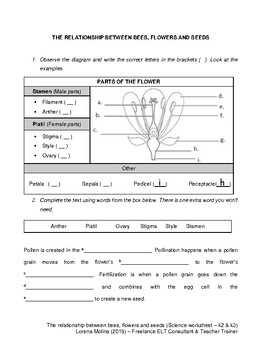 Parts of the flower, Pollination and Plant Fertilization Worksheet
