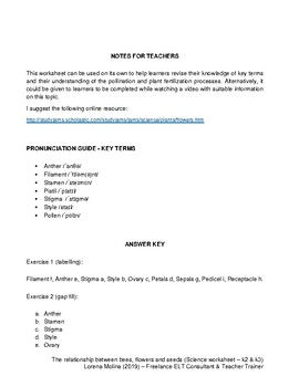 Parts of the flower, Pollination and Plant Fertilization Worksheet