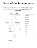 Parts of the human body (ESL)