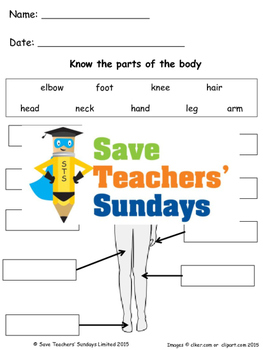 Preview of Parts of the human body lesson plan and worksheets (2 levels of difficulty)