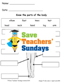 Parts of the human body lesson plan and worksheets (2 leve