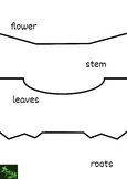 Parts of the plant - Puzzles