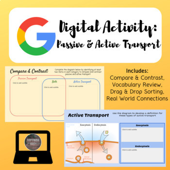 Preview of Passive & Active Transport Digital Activity | Google Slides