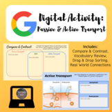 Passive & Active Transport Digital Activity | Google Slides
