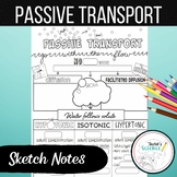 Passive Transport Sketch Notes (Doodle Notes): Diffusion a