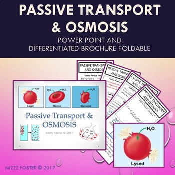 Preview of Cells Passive Transport & Osmosis PowerPoint & Differentiated Notes