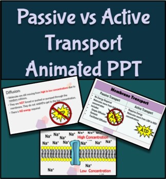 passive transport examples for kids