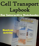 Passive and Active Cell Transport Activity (Diffusion and 