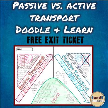 passive transport examples for kids