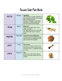 Passover Seder Plate Vocabulary Sheet & Bonus Picture-Word