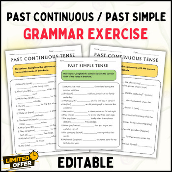 Preview of Past Continuous and Past Simple Grammar Exercise Worksheets: Editable