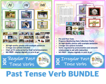 Preview of Past Tense Verbs Bundle (Regular and Irregular)