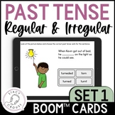 Regular and Irregular Past Tense Verbs in Sentences BOOM C