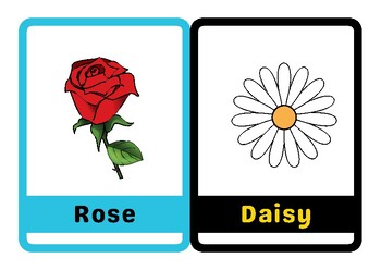 Preview of Pastel Lined Flowers Flash Cards For Kids