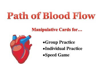 Preview of Path of Blood Flow Practice Cards