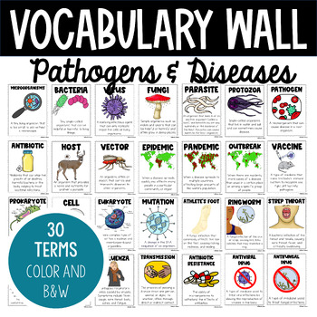 Preview of Pathogens & Disease | Microbiology Series | Vocabulary Wall | Vocabulary Posters