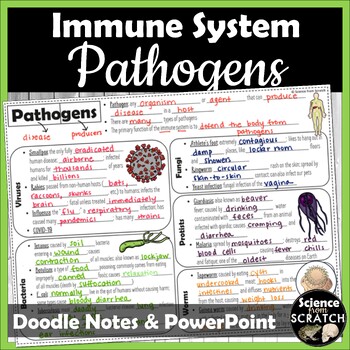 Preview of Pathogens Doodle Notes and PowerPoint for the Immune System
