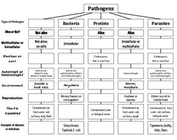 Pathogenic Organism Chart