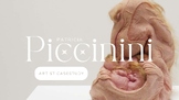Patricia Piccinini Artist Case Study | Senior Arts | Unit 