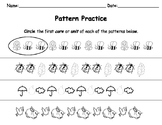 Pattern Practice - Build, Extend, Identify Core, Label