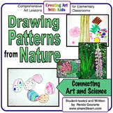Art Lesson Drawing Patterns from Nature Science Integrated