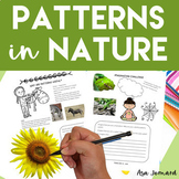 Patterns and Shapes in Nature | PBL STEAM Biomimicry Desig