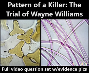 Preview of Pattern of a Killer: The Trial of Wayne Williams video Qs (SFS2a, SFS2b)