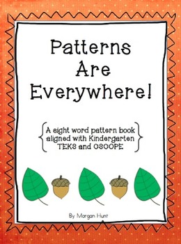 Preview of Patterns Are Everywhere: A sight word pattern book