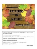 Patterns In Nature sorting cards