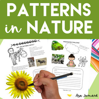 Preview of Patterns & Shapes in Nature Activities | STEAM | Biomimicry Design| Nonfiction