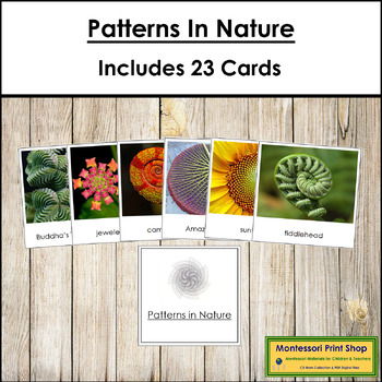 Preview of Patterns in Nature Cards - Primary Montessori Sensorial and Geometry