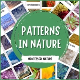 Patterns in Nature - Montessori Printable
