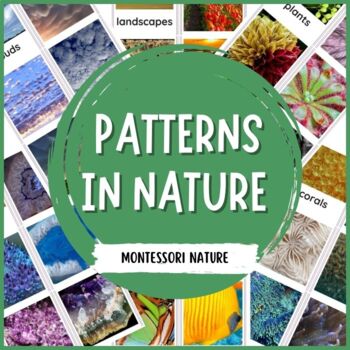Preview of Patterns in Nature - Montessori Printable