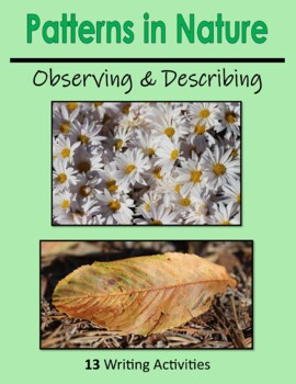 Preview of Patterns in Nature - Observing & Describing