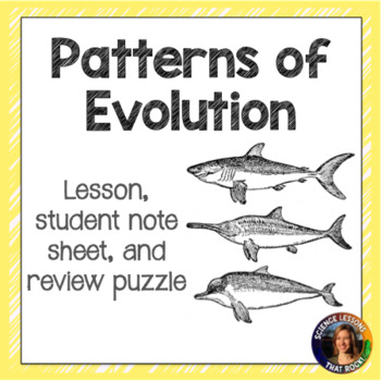 Preview of Patterns of Evolution