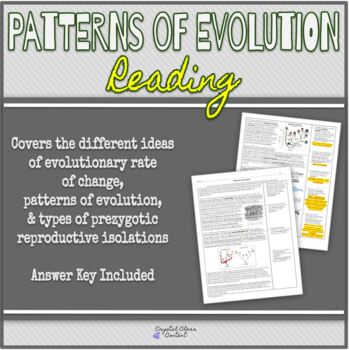 Patterns Of Evolution Worksheets Teaching Resources Tpt