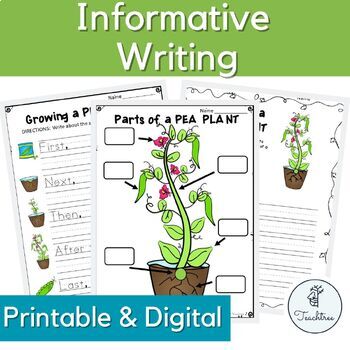 Preview of Pea Plant Growing Cycle and Parts / Informative Writing