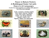 Peace in Nature Poster Set