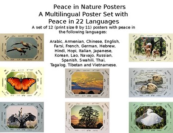 Preview of Peace in Nature Poster Set