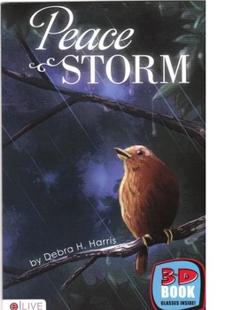 Preview of Peace in the Storm 3-D Book