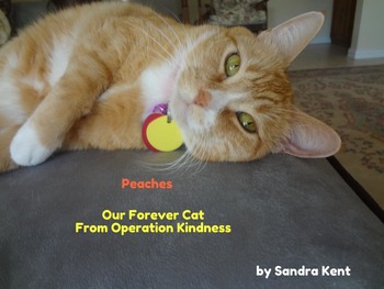 Preview of Peaches Our Forever Cat Ebook