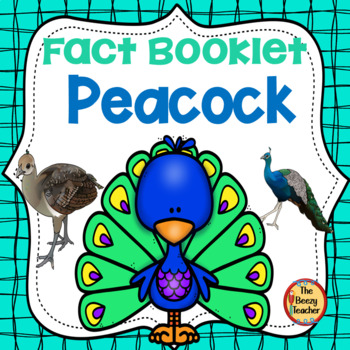 Preview of Peacock Fact Booklet | Nonfiction | Comprehension | Craft