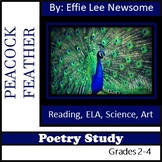 Peacock Feather by Effie Lee Newsome, POETRY study, ELA, R