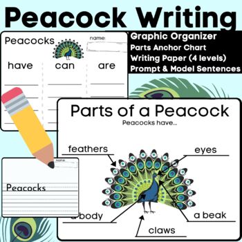 Preview of Peacock Writing and Labeling Informative Have Can Are w/ Anchor Charts Animal