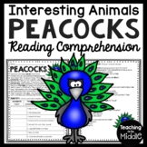 Peacocks Informational Text Reading Comprehension Workshee