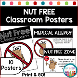Peanut Food Allergy Classroom Signs | Medical Allergies Cl