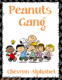 Peanuts Gang- Charlie Brown - AR Chart
