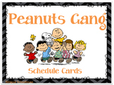 Peanuts Gang- Charlie Brown Chevron Schedule Cards