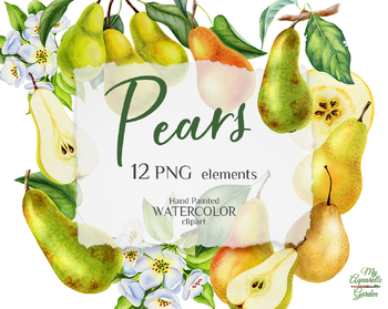 Preview of Pears, blossom pears