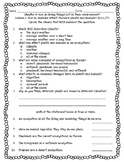 Pearson Interactive Science Chapter 4 Grade 4 Worksheets & Teaching
